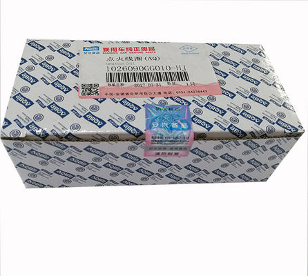JAC J3 J5 J6 S3 Bobinas de encendido 1026090GG010-HJ para el NO. de la OE 1026090GG010-HJ