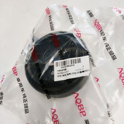 JAC Auto Parts Pulley de la bomba de agua para J3 J5 S2 S3 OE NO. 10*10*3
