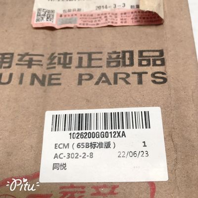 Repuestos para automóviles ECM 65B Edición estándar para JAC Tong Yue Saloon 1026200GG012XA