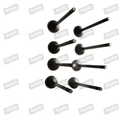 Shuailing T6 15/04- OE número 1003014FD040 válvula de admisión para el año 2007 - Partes de automóviles