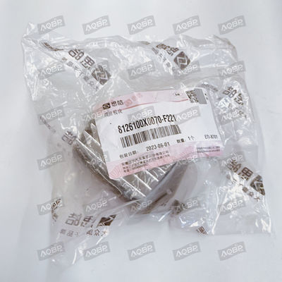 No de la OE 8126100x0070-f221 iEV7S SUV 17.10- Módulo de control de velocidad para vehículo de energía JAC
