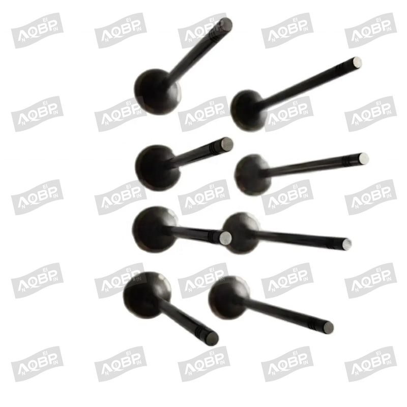 Shuailing T6 15/04- OE número 1003014FD040 válvula de admisión para el año 2007 - Partes de automóviles